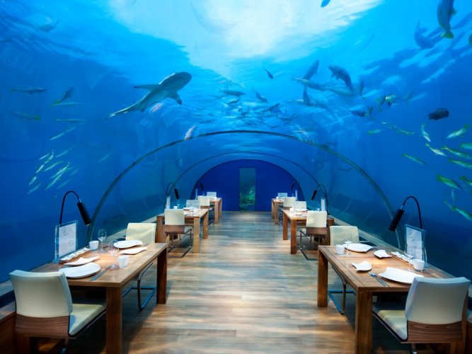 مطعم زجاجي تحت الماء