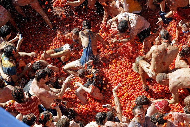 مهرجان رمي الطماطم