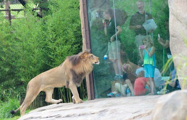 Cincinnati Zoo