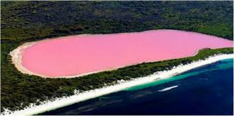 بحيرة ريبتا الوردية في السنغال
