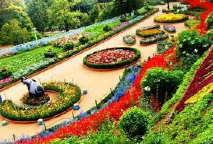 أحد حدائق مدينة أوتي الهند