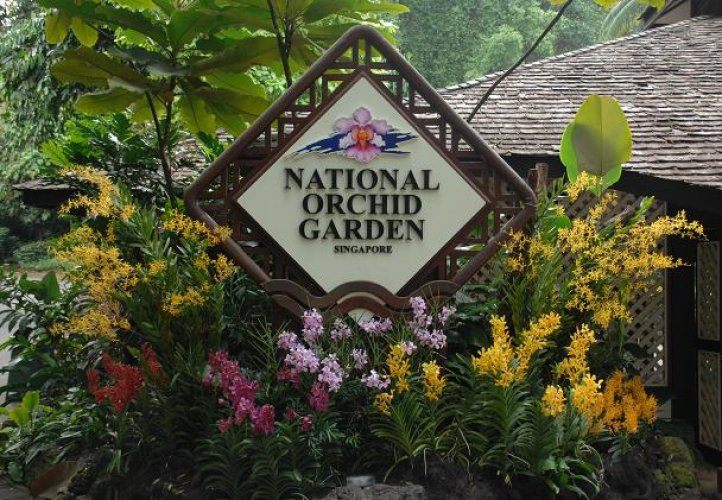 حديقة الاوركيدا في سنغافورة