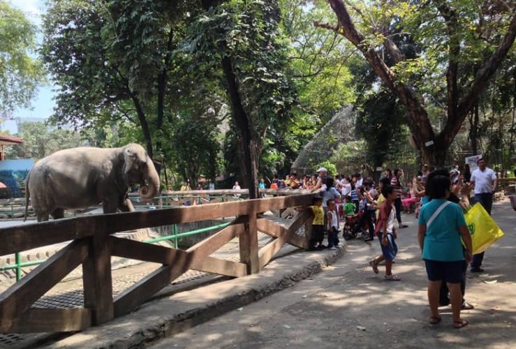 حديقة حيوان مانيلا