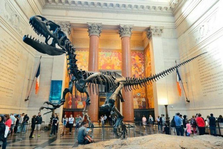 المتحف الامريكي للتاريخ الطبيعي