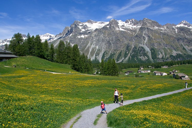 جبال الألب سويسرا