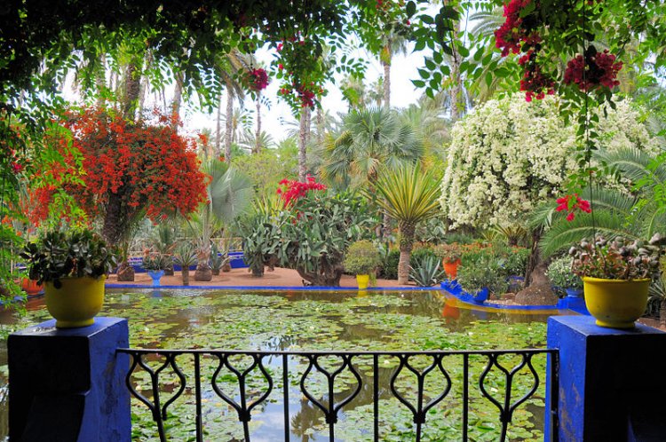 حديقة ماجوريل مراكش
