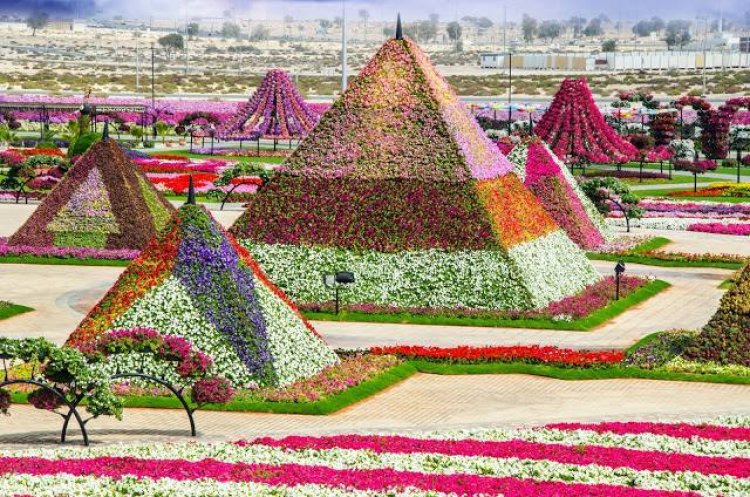 أكبر حديقة للزهور في دبي