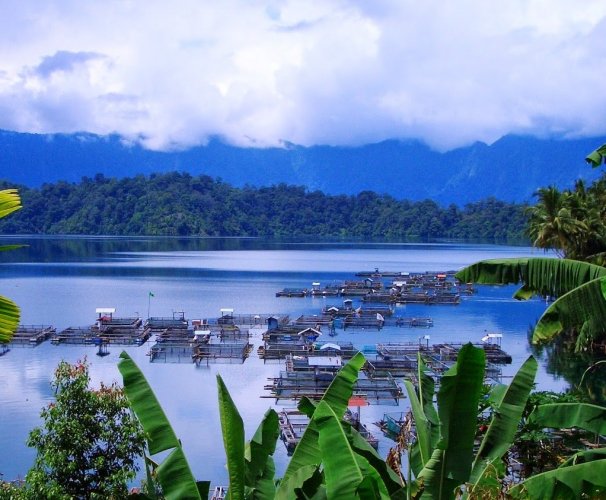 خليج بانجوس في سومطرة إندونيسيا
