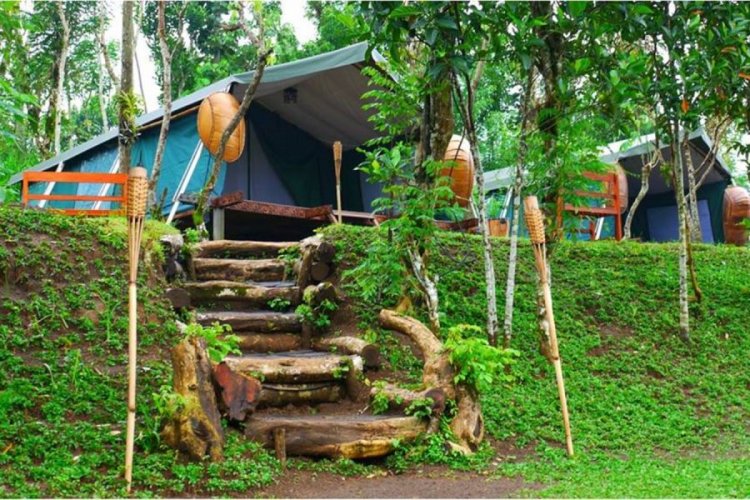مخيم Bali Waso Camp 