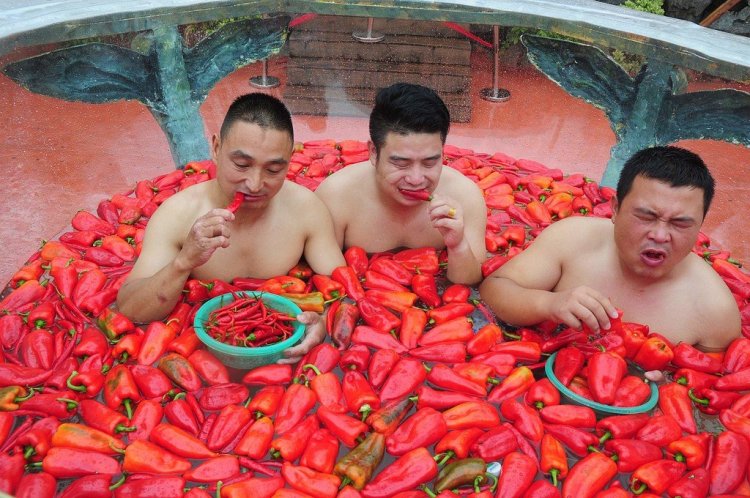 ثلاثة أشخاص في مسابقة أكل الفلفل الحار الصينية