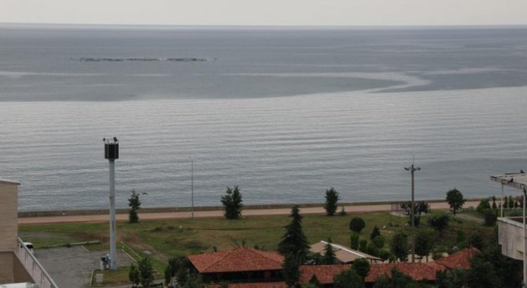 ساحل البحر الأسود