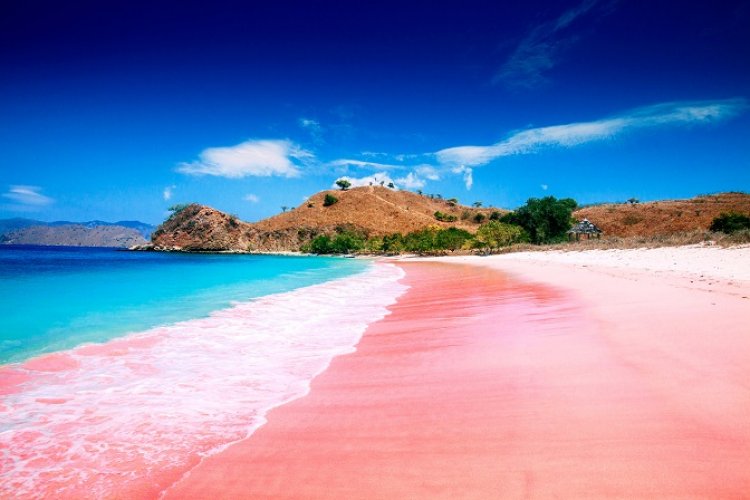الشاطئ الوردي في جزيرة لومبوك