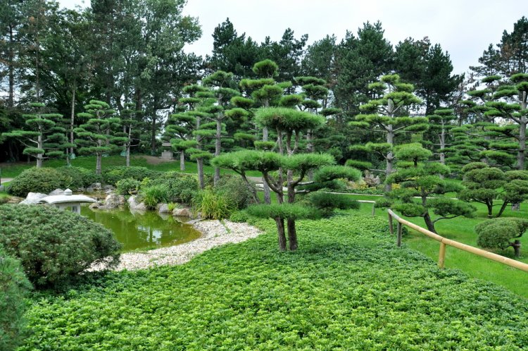 حديقة نورد بارك اليابانية