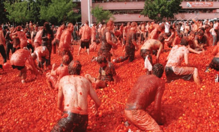 عيد حرب الطماطم