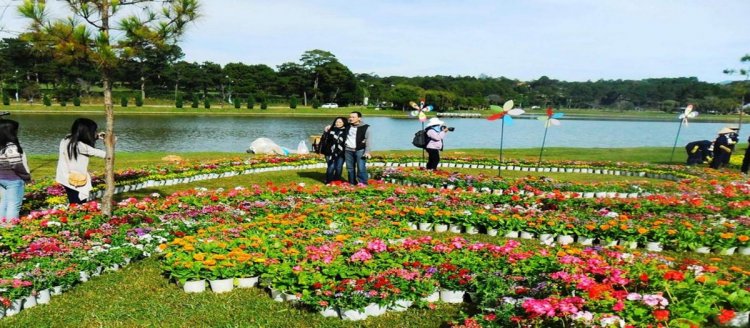 حديقة الزهور في مدينة دالات فيتنام