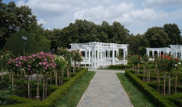 حديقة الورود في مدينة تيميشوارا رومانيا