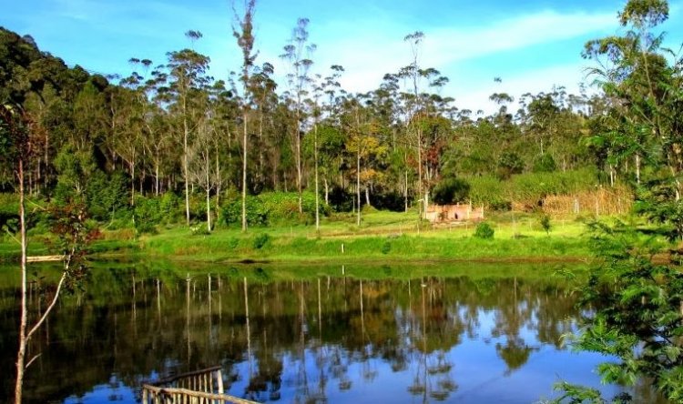 منتزه رانشا اوباس في منطقة تشيبودي الإندونيسية