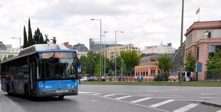 الحافلات في مدريد