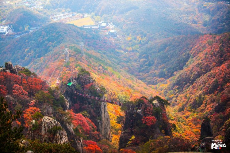 ويجو تبرم صفقة مع هيئة السياحة الكورية لاستقطاب عدد أكبر من الزوار إلى كوريا