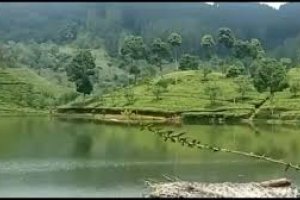 المناظر الطبيعية في سريلانكا 