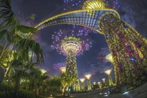 جمال السياحية في سنغافورة