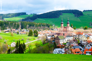 الغابة السوداء