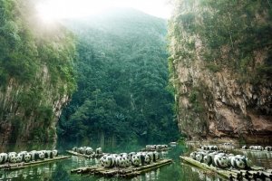 مدينة ايبوة