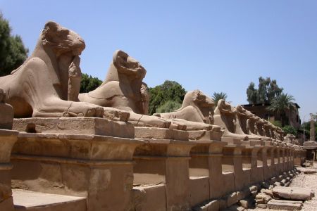  طريق الكباش الفرعوني في الأقصر