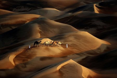  صحراء ليوا