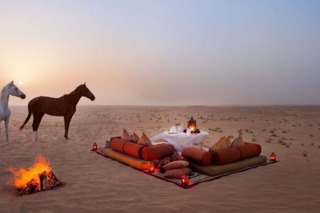 صحراء دبي الساحرة