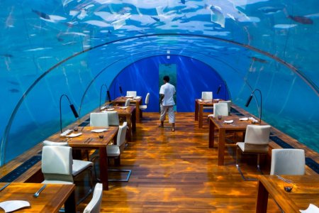 افضل المطاعم عند السفر الى جزر المالديف