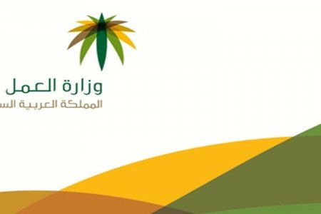 وزارة العمل والتنمية الاجتماعية السعودية 