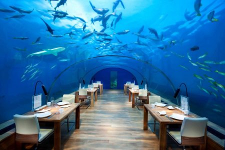 مطعم ايثا في جزر المالديف 