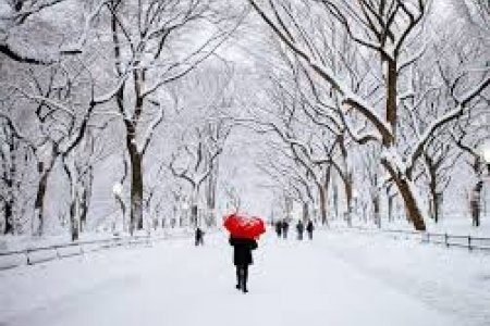 الشتاء في نيويورك