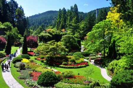 حدائق اليابان الساحرة