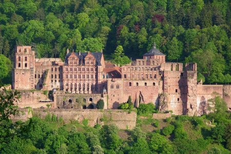 قلعة هايدلبرغ في ألمانيا