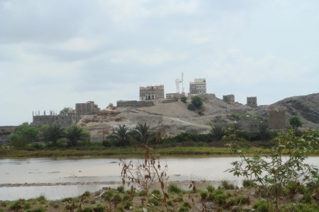 قرية دار الحصن في الباحة