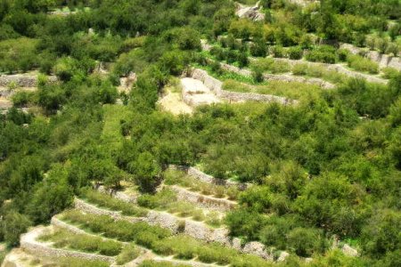 الجبل الأخضر في سلطنة عمان