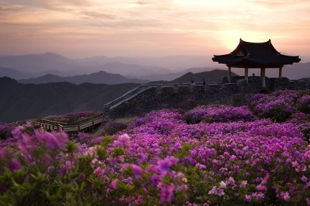 جزيرة جيجو في كوريا الجنوبية