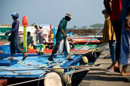 سوق السمك في ماليه - جزر المالديف