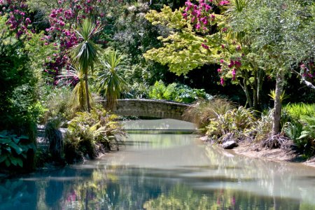 حدائق كنيسة المسيح النباتية في نيوزيلندا