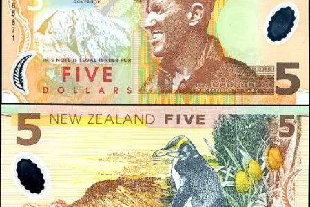 دولار نيوزيلندي العملة الرسمية لنيوزيلندا