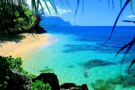 الطبيعة الساحرة في هاواي
