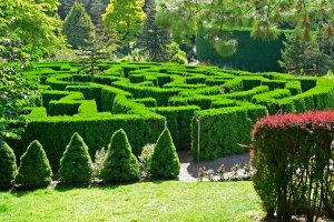  حدائق النباتات الملكية 