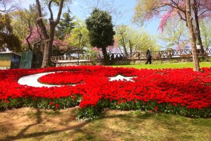 حديقة اميرجان في تركيا