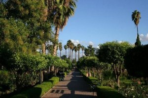 حدائق أكدال في مدينة مراكش