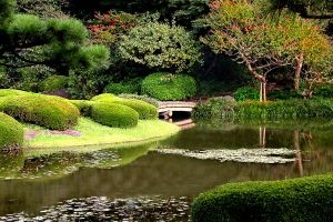 حديقة رايكوجين ‫في طوكيو - اليابان‬
