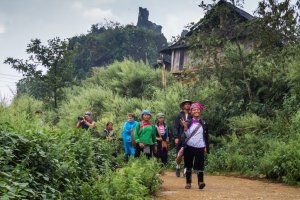 السياح في غابات سابا فيتنام