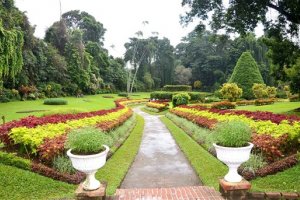 الحدائق الطبيعية الملكية في كاندي - سريلانكا