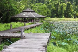 حديقة إيراوان الوطنية في كانشانابوري - تايلاند